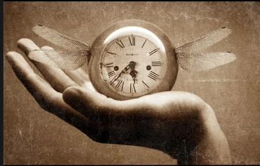 Photo by Kendra Knight